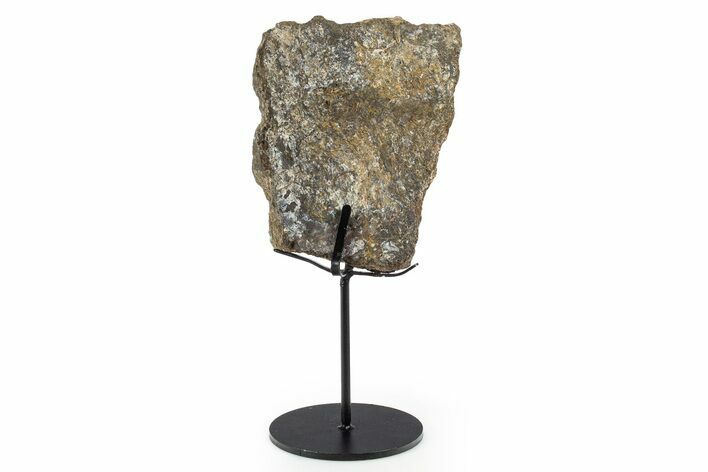 Fossil Sauropod Vertebra Section with Metal Stand - Colorado #339945